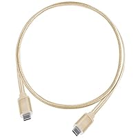 芸術品　Type C Amazon.co.jp: SilverStone USB3.1 Gen2 Type-C ケーブル 50cm