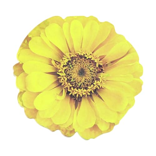 25V[g̉Ԃ̌`fUCXeBbNm[gpbhI[gX^bLOpbhXeBbNm[gS^Ԃ̃fUC