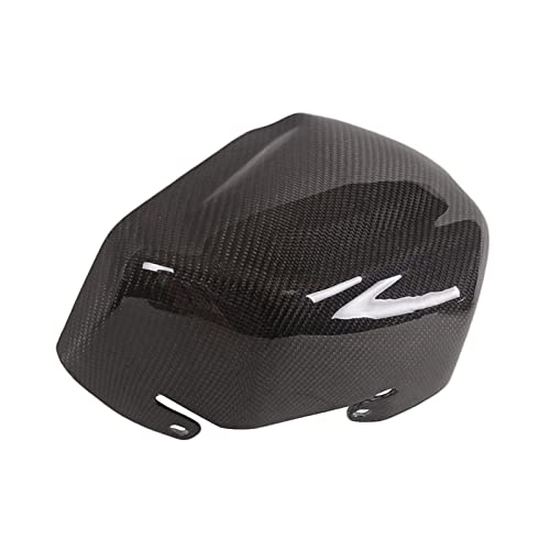Modification moto pour BMW R1250GS avec ce couvercle moteur carbone - 5