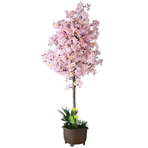 Rv   CeA sNF̍̔A  160cm 1603-5000  ̖ ϗtA CTG} snb bgr