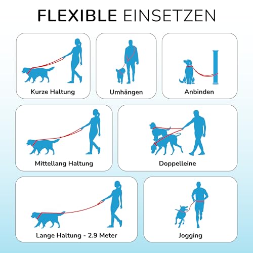 elevenants® Verstellbare Hundeleine 3 Meter | Robuste Nylon Umhängeleine für mittelgroße bis große Hunde | Führleine mit 200kg Zugkraft | Doppelleine mit 2 Karabiner | Multifunktionsleine (Grün)