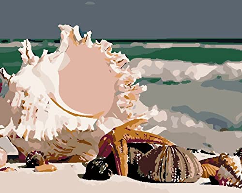 Point de croix pré-imprimé conque sur la plage 11CT broderie complète 40x50 cm