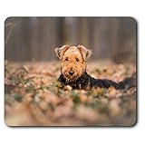 Confortable Tapis de Souris - Automne Airedale Terrier Chien Chiot 23,5 x 19,6 cm (9,3 x 7,7 Pouces) pour Les Ordinateurs et Ordinateurs Portables, de Bureau, Cadeaux, Base antidérapante - RM15708