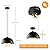 DLLT Industrial Pendant Light Fixture, Farmhouse Decor Adjustable Metal Hanging Lamp, Vintage Pendant Lighting for Kitchen Restaurant Dining Room Cafe Sink, E26 Base, Black(2 Packs)