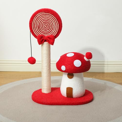 �L �܌��� 37.5cm �܂Ƃ� �L�^���[ �ϋv �L���b�g�^���[ ���h�~ �X�g���X���� �ʋC �L�������� ��v ������� �ȃX�y�[�X �c�^ ���b�h