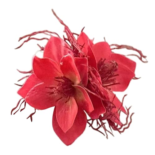 Ekoama �o���X�N���b�v �N���b�v �w�b�h�M�A �o���X�N���b�v �G���K���g �r�[�` �o���z���_�[ �o���b�^ ���� �z�[���h �w�A�s�� ���̎q�p