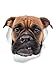 Winston & Bear - Adesivi da parete per cani e cani di grumpy boxer, confezione da 2 pezzi, adesivi per WC per cani boxer – adesivi 3D per finestrino e paraurti – Confezione da 2