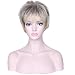 Deifor Short Messy Curly Synthetic Hair Natural As Real Hair Wigs for Daily Use (Brown Mix Blonde)