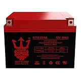 Neptune Brand 12V 26AH SLA High Performance Replacement Battery for Car Stereo Audio AGM Battery...