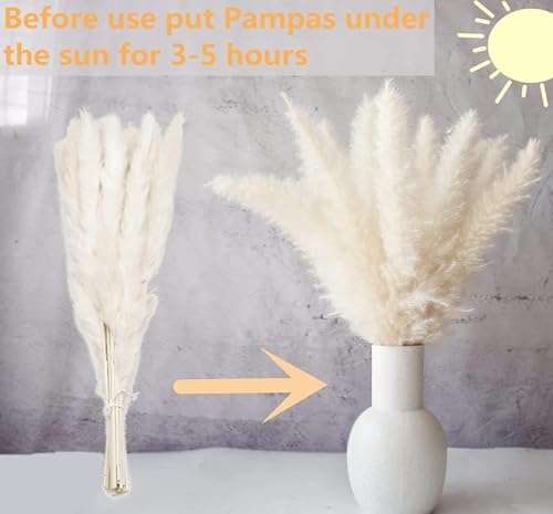Ramo de Hierba Pampas Grande Seco Decorativo 30 piezas miniatura 6