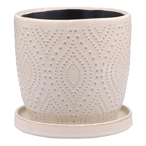 �f���L (dellki) �h�[�Z�|�b�g B Doce �z���C�g L�T�C�Y ��155×H145mm FD08WH