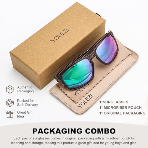 Polarized Sunglasses with UV400 Protection， Classic Retro Style for Men and Women Cycling Driving Fishing2