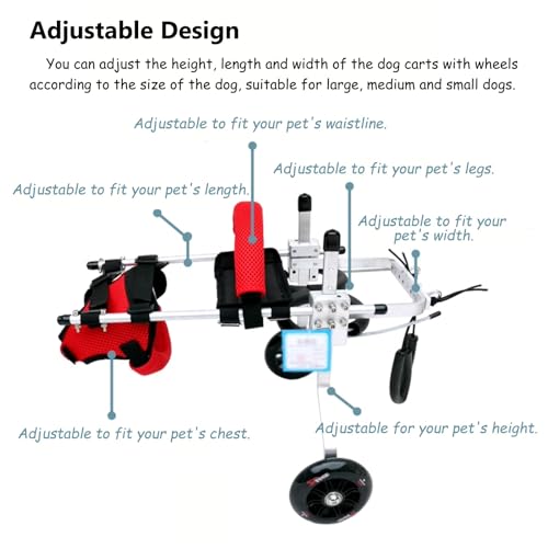 Silla de ruedas para perros con dos ruedas estables para gatitos discapacitados 6
