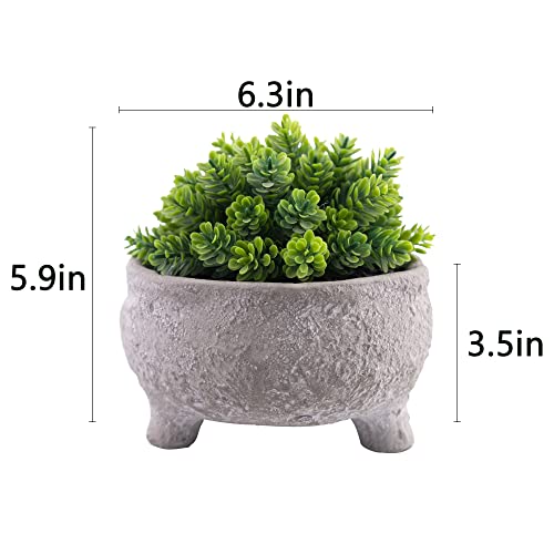 Blvvcom 6.3"X5.9"Artificial Succulents Plants,Burrito Sedum Fake Plants, Faux Succulents Plant With Cement Potted For Home,Shelf And Office Decoration #TOP1