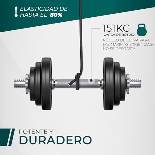 Miniatura 3 de 