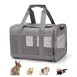 kathson Small Animal Carrier Bag, Guinea Pig Rabbit Travel Carrier Breathable Mesh Window Pet Portable Hand Bag for Hamster Bird Bunny Bearded Dragon Kitty and Etc (Grey)