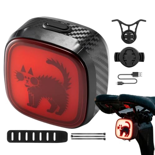 Luz trasera de bicicleta para acampar exterior y ciclismo nocturno seguro con Tipo C