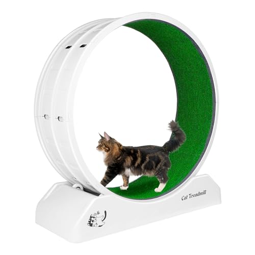 Cat Wheel, Cat Wheels for Indoor Cats, Noiseless Cat Treadmill for Cat Weight Loss,