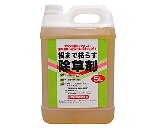 g\ ܂Ō͂炷 (5L) A~m_n