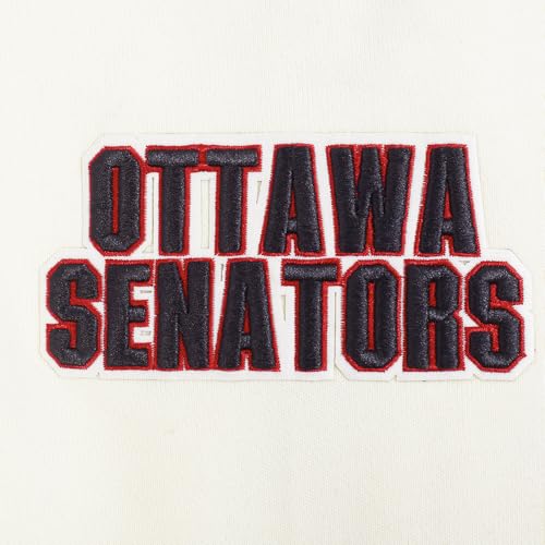 Image of Pro Standard Men's NHL Retro Classics Brushed Back French Terry Pull Over Hoodie