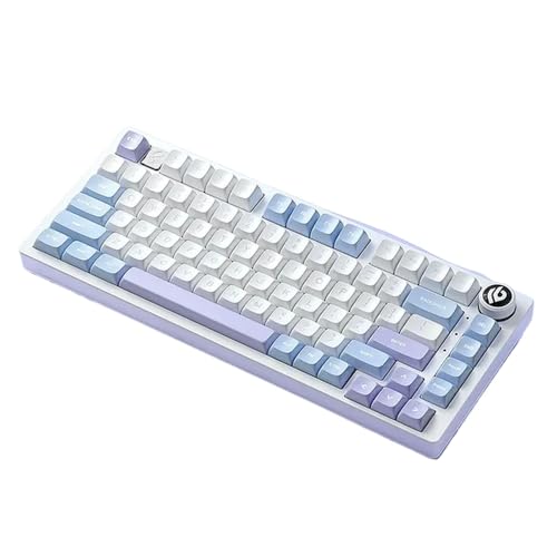 Hi75 75% JjJL[{[hQ[~OL RGB zbgXbvJX^}CY\ȃA~KXPbgfUC 81 PC Q[}[p(Block axis V2)