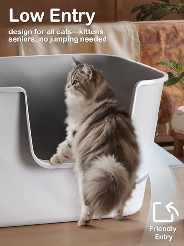 Arenero XL para gatos LivLab Mker con bordes altos verde miniatura 5