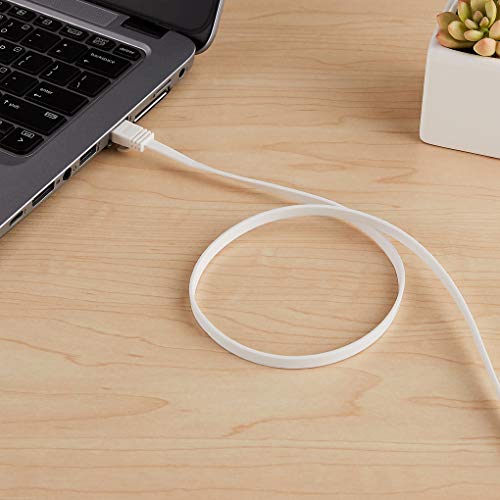 Image of Amazon Basics Cat 6 Ethernet RJ45 10Gbps Flat Network Cable, 100ft Snagless with Gold-Plated Connectors, Outdoor & Indoor Solid Patch Cord with Clips for Router, Modem, Gaming, Computer, White