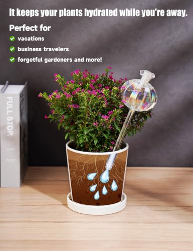 Globe d'irrigation en verre en forme de cactus irisé NiHome