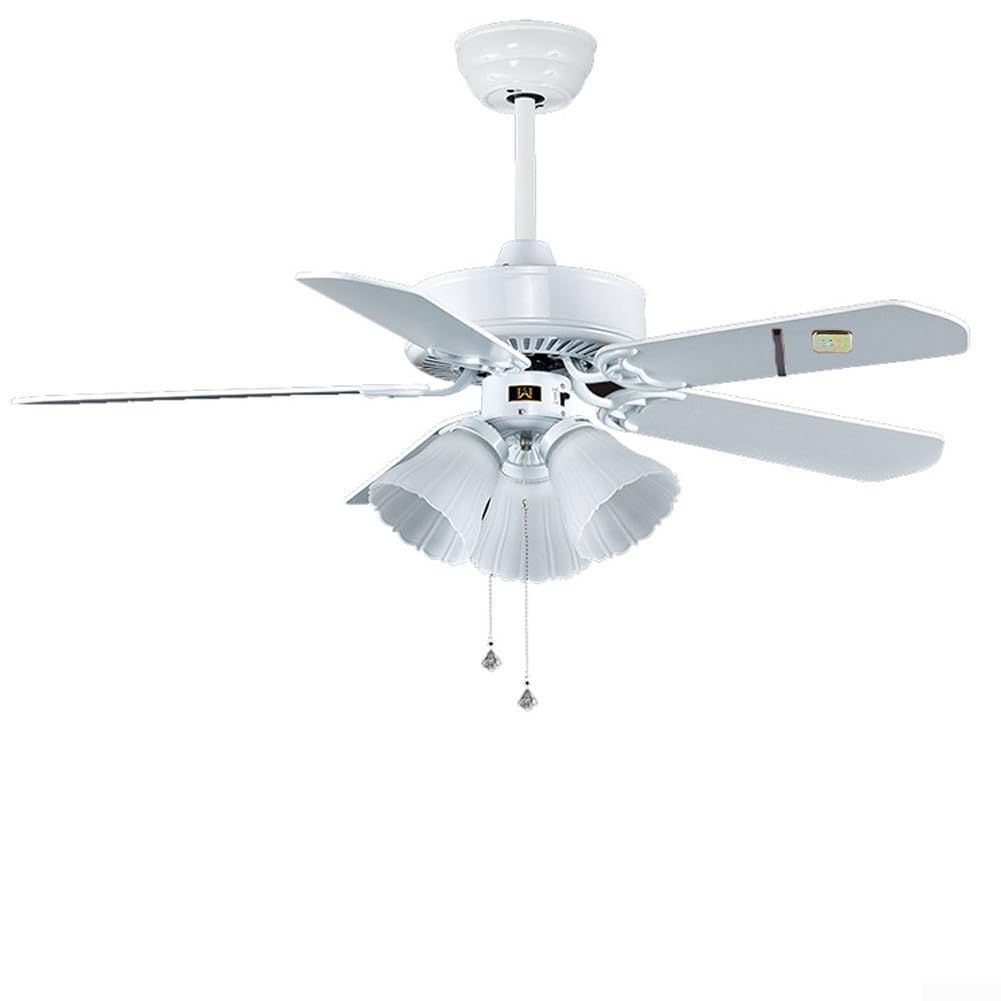 Kit de equilibrio de ventilador de techo con pesos de metal de 3 g y clips de plástico, reduce el tambaleo y el ruido para la mayoría de los ventiladores de techo, incluye manual de instrucciones
