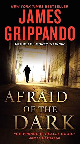 Afraid of the Dark (Jack Swyteck Novel)