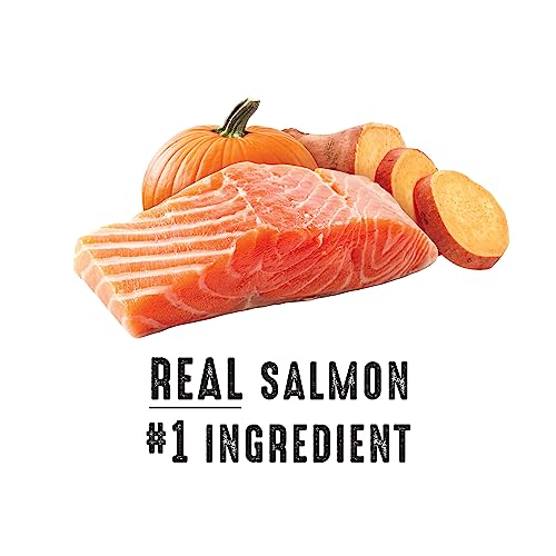 Nature’s Recipe Grain Free Natural Dog Food Salmon, Sweet Potato & Pumpkin Recipe 1.8 kg - Image 3