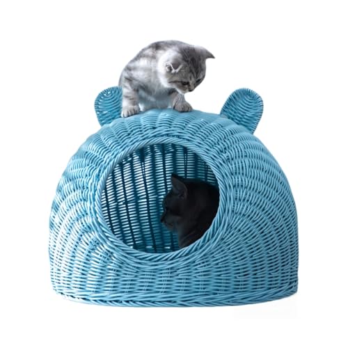 MiluFox L h[^L Lxbh Lp L̉ ^    lGʗp ʋC t@bV ɂKp (F(ł),S)