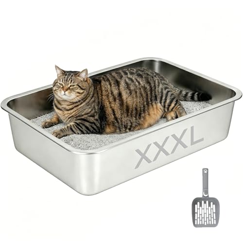 LEEJARD XXXL Edelstahl Katzentoilette 70x50x15 5cm Extra Groß Katzenklo mit hohem Rand & Schaufel rostfrei & antihaftbeschichtet für große Katzen & Mehrkatzenhaushalte