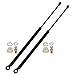 Maxpow Qty 2 Rear Hatch Gas Spring Prop Lift Support Strut Compatible With Honda CRX 1988 1989 1990 1991