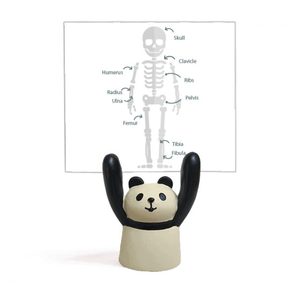 Support mémo dessin animé panda pour ne plus jamais oublier vos notes - 4