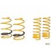 Ford Racing 2363-MSK-AB Mountune Sport Spring Set