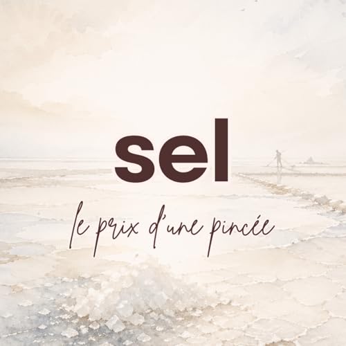 『Le sel, le prix d'une pinc&eacute;e』のカバーアート