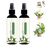 Brasilianische Holzpflanze, brasilianisches Holz, Zimmerpflanzendünger,...