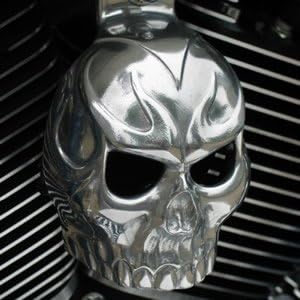 Chrome Dome Polished Evil Twin Skull Horn Cover SKU-TA3