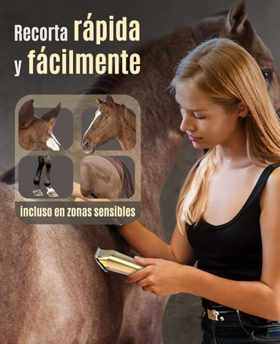 oneisall Premium maquina de cortar pelo caballos profesional, silenciosa Cortapelos para Mascotas Maquinilla caballos Inalámbrico Recargable para caballos y Gatos con 6 Peines Guía - imagen 5