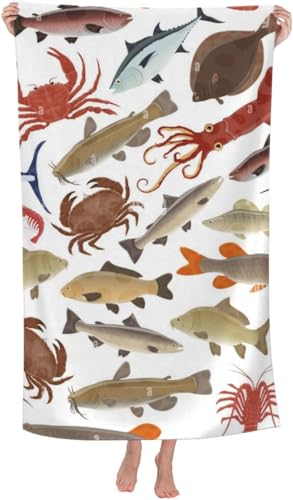 eދ CJ }O Jj CV oX^I }CNt@Co[ z  ϋv lC  ӂӂ G oX^I 唻 uԋz RۖhL rbO ƒp Ɩp