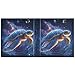 ALAZA Sea Turtle Starry Sky 3 Ring Binder Holds of 200 Sheets Fits Letter Sized Paper D-Ring Organizer for School Home Work Office Supplies 1 Pack