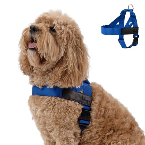 Image of Dog Friendly Co. Dog Harness for Medium Sized Dogs (Classic Blue, Medium)