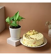 Small manufacture image 29