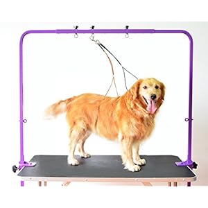 Gravitis Pet Supplies Overhead Pet Grooming Arm with Clamps and Harness – Suitable for use with Dog Grooming Table – Purple