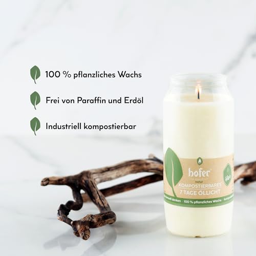 10er Set HOFER NATUR kompostierbares Öl-Licht | bis 7 Tage lange Brenndauer | Grablicht weiß mit biologisch abbaubarer Hülle | Friedhofskerzen | Trauerlicht für Grablaternen und Grablampen