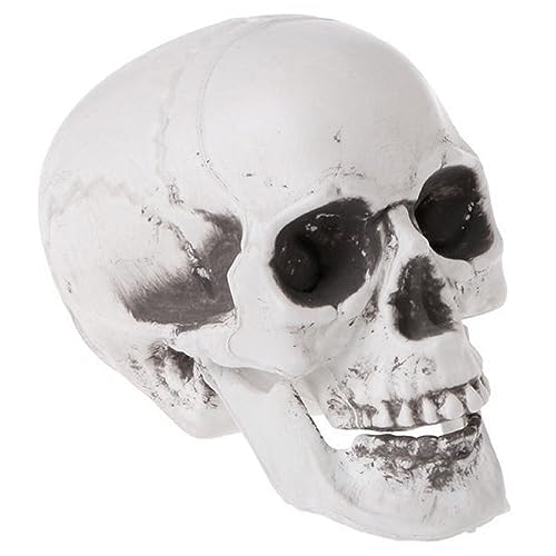 Tradineur - Calavera para Halloween, plástico, cráneo, decoración de interior, carnaval, fiestas, celebraciones, 15 cm