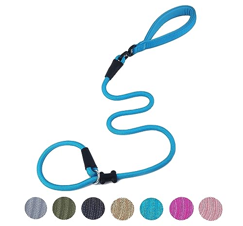 Slip Lead Dog Leash Strong Nylon Rope Leash with Comfortable Handles and Walking Training Lead for Small Medium Large Dogs (Blue