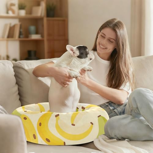 Lit pour chat et chaton amovible S jaune