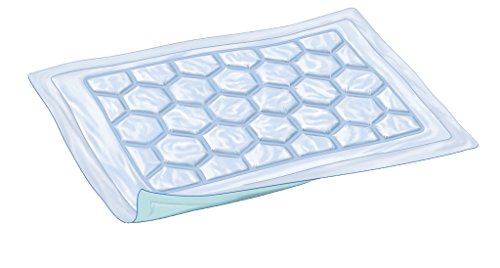 Attends Cover-Dri 40x60 - Case of 6 Packs of 50 - Image 4